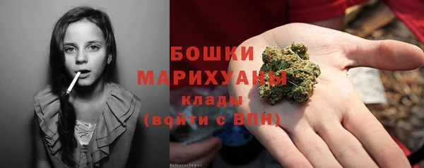 гашик Белоозёрский