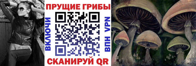 Галлюциногенные грибы GOLDEN TEACHER  купить   Кстово 