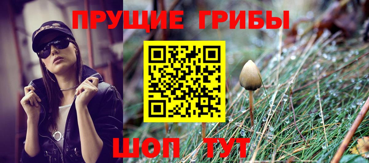 Псилоцибиновые грибы Psilocybe  Псилоцибиновые грибы Magic Shrooms  Кстово  Вход с VPN 